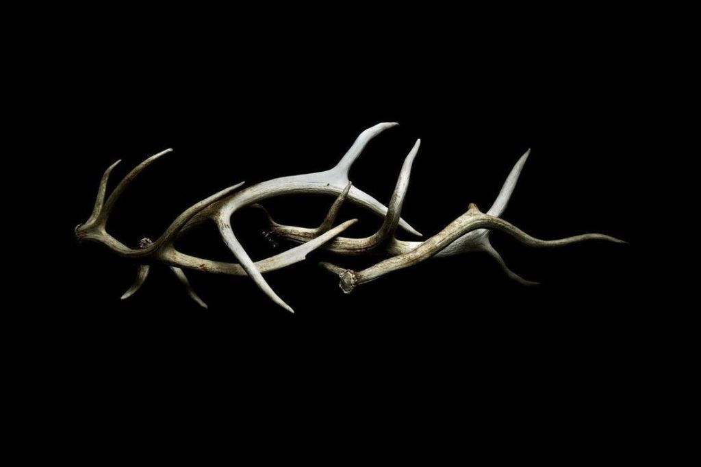 Banquete em Silêncio